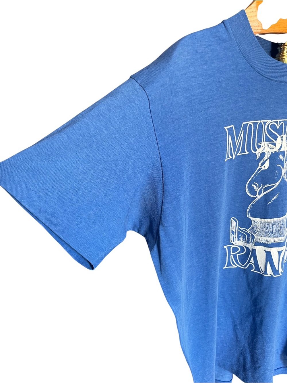 *RARE* Vintage 1980s Mustang Ranch Brothel Graphic Tee - Blue White XL - Picture 4 of 9